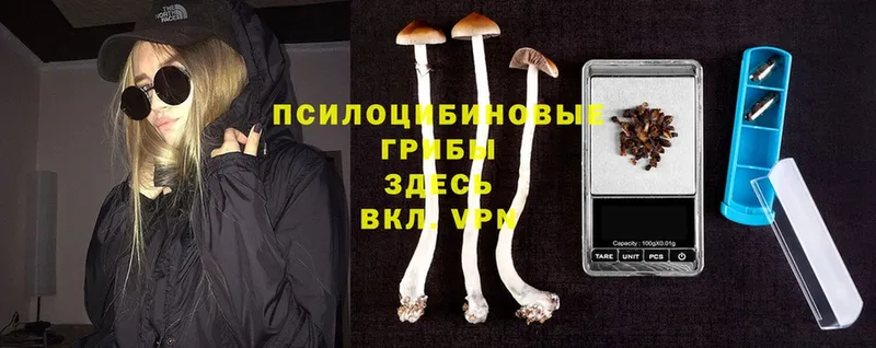 Галлюциногенные грибы Psilocybine cubensis Зеленокумск